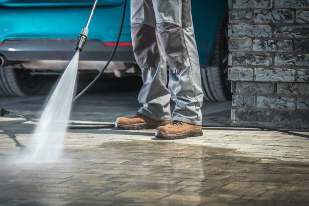 Animal Enclosure Cleaning in Winfield, KS
