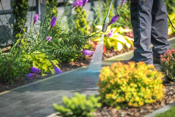 Best Pool Deck Cleaning  in Winfield, KS